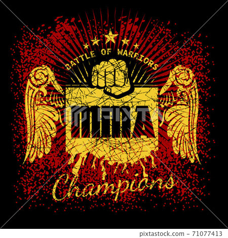 MMA labels on grunge background MMA labels on grunge background 71077413