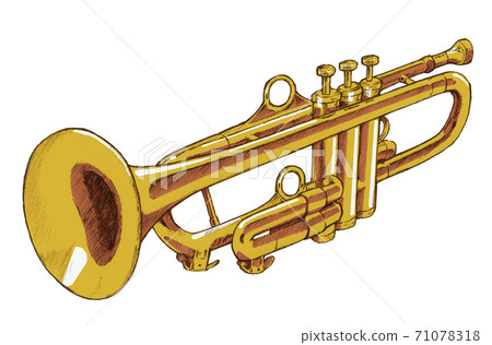 Trumpet Trumpet 71078318