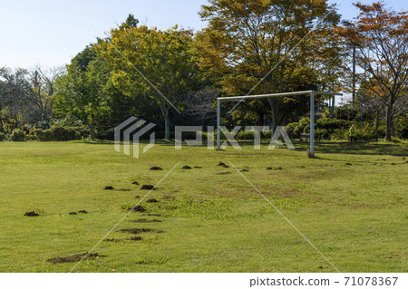 Lots of mole holes towards the goal 71078367