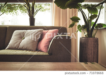 Modern design living room with close up stylish sofa and colorful pillows, trendy design with green house plant in retro home close up Modern design living room with close up stylish sofa and colorful pillows, trendy design with green house plant in retro home close up 71078668