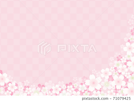 Spring image material of cherry blossoms in full bloom and Japanese paper Somei Yoshino 71079425
