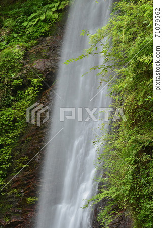[Yoro Town, Gifu Prefecture] Yoro Waterfall (100 Best Waterfalls in Japan) 71079562