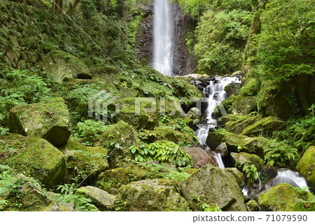 [Yoro Town, Gifu Prefecture] Yoro Waterfall (100 Best Waterfalls in Japan) 71079590