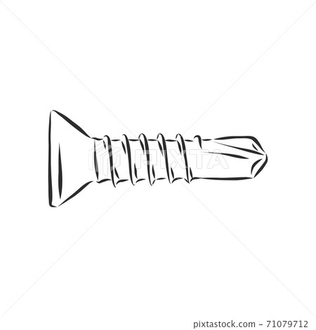screws, nails isolated on a white background. Vector illustration, metal screw vector sketch illustration 71079712