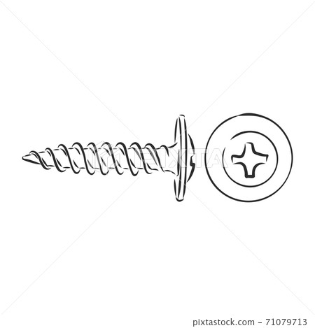 screws, nails isolated on a white background. Vector illustration, metal screw vector sketch illustration 71079713
