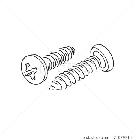 screws, nails isolated on a white background. Vector illustration, metal screw vector sketch illustration screws, nails isolated on a white background. Vector illustration, metal screw vector sketch illustration 71079716