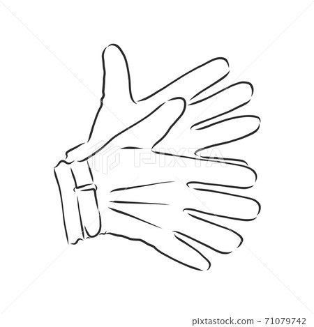Sketch of winter gloves, vector illustration isoltaed on white background, pair of gloves, gloves, vector sketch illustration 71079742