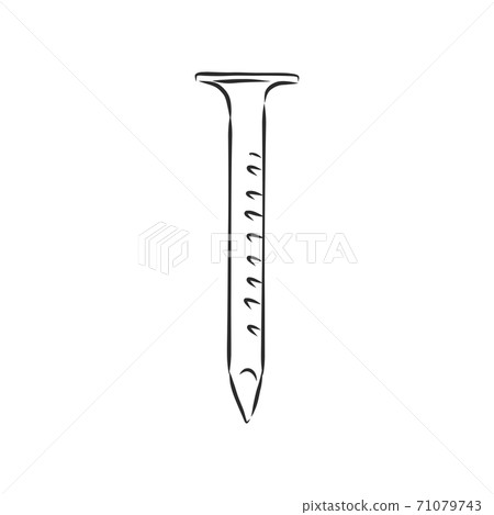 Hand drawn nail heads vector sketch. Doodle drawing. Vector sketch house remodel tool. nail vector sketch illustration 71079743