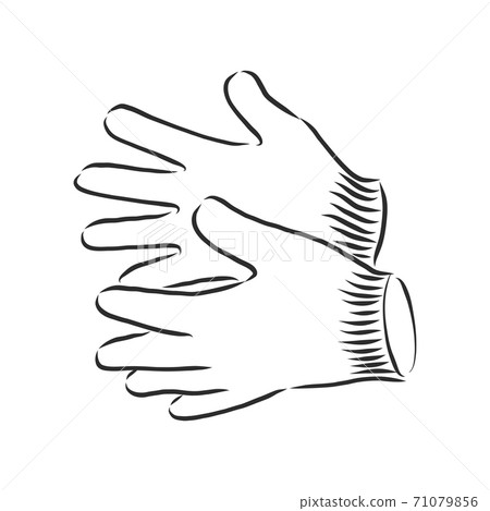 Sketch of winter gloves, vector illustration isoltaed on white background, pair of gloves, gloves, vector sketch illustration 71079856
