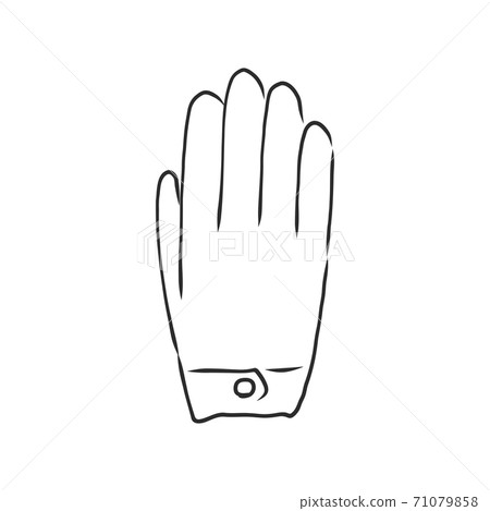 Sketch of winter gloves, vector illustration isoltaed on white background, pair of gloves, gloves, vector sketch illustration 71079858