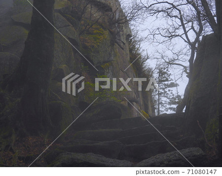 The summit soon 71080147