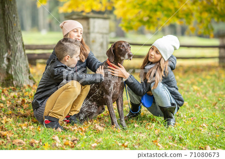 Two girls and a boy pet a brown dog on a colorful fall day in the park 71080673
