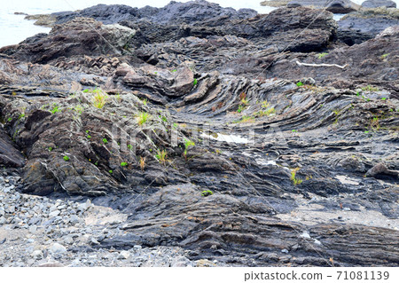 Shinmura Promenade [Muroto Global Geopark] 71081139