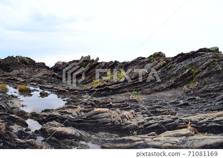 新村長廊[室戶世界地質公園] 71081169