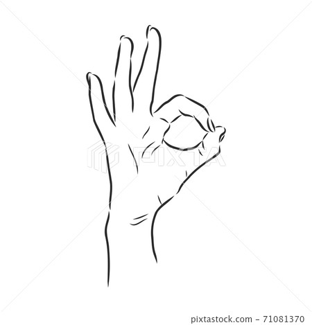 Hand OK Sign Isolated on White Background. Sketch 71081370