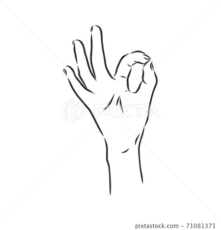 Hand OK Sign Isolated on White Background. Sketch 71081371
