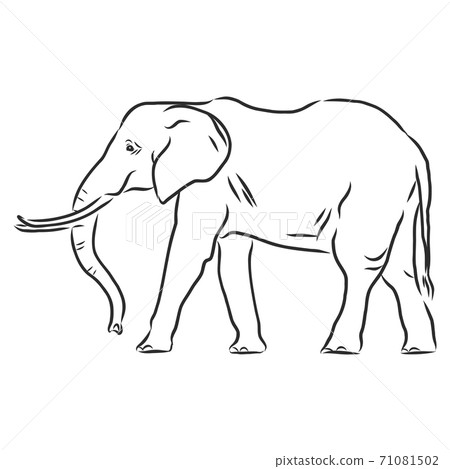 Beautiful sketch of an adult Asian elephant with - Stock Illustration ...