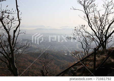 Bukhansan, national park, autumn, maple leaves 71081792