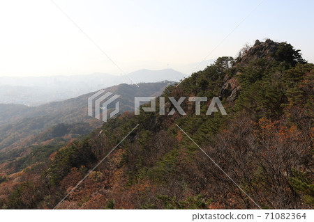 Bukhansan, national park, autumn, maple leaves Bukhansan, national park, autumn, maple leaves 71082364
