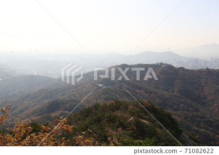 Bukhansan, national park, maple leaves, autumn 71082622