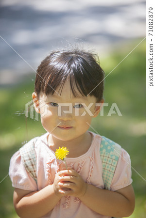 蒲公英的孩子 71082879