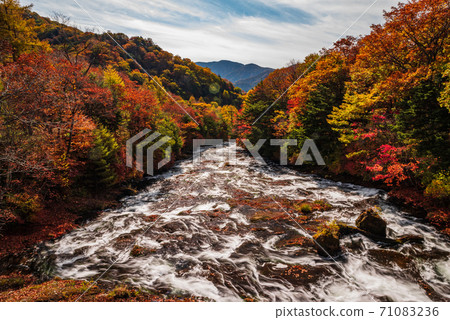 秋天的日光/湯河[To木縣] 71083236