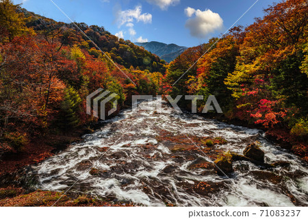 秋天的日光/湯河[To木縣] 71083237