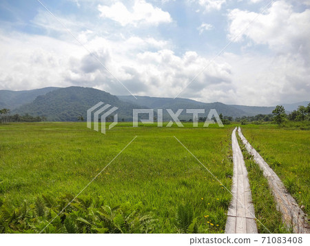 夏天的大瀨 夏天的大瀨 71083408