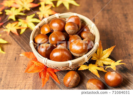 秋天的落葉和秋天的味道 71084031