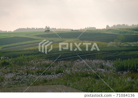 Tractor taking a rest 71084136