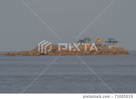 日產海岸 71085019