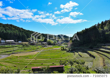 耀津町上田的秋天風景 71085073