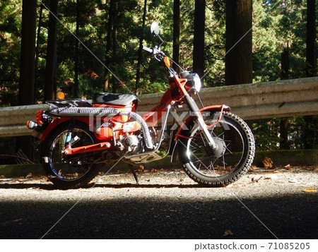 Run on the old road of Father Demon Highway (National Route 480) with a hunter cub 71085205