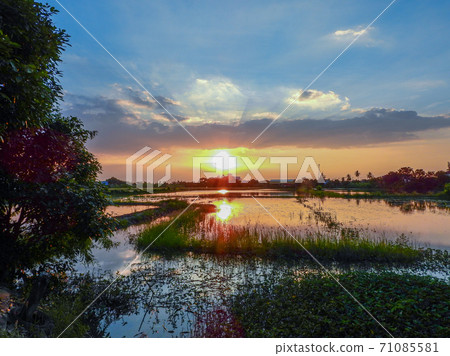 beautiful sunset on the field beautiful sunset on the field 71085581