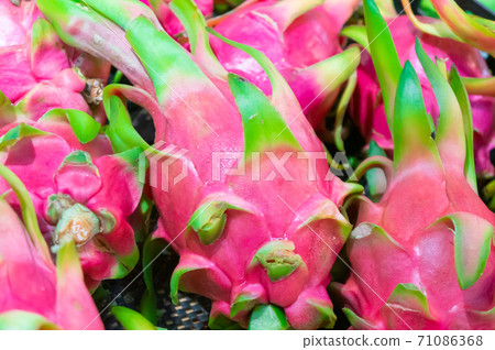 Lots of dragon fruit Lots of dragon fruit 71086368