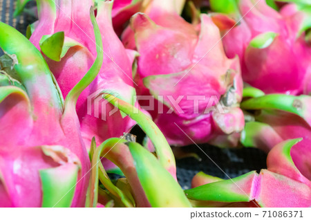 很多火龍果 很多火龍果 71086371