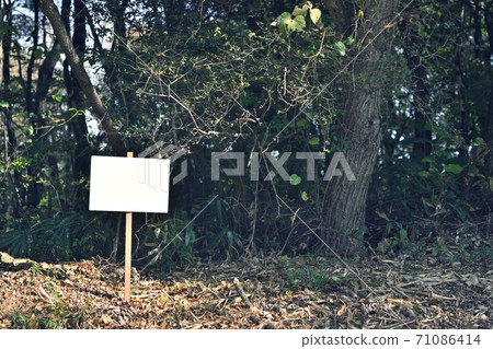 Image of selling forests and land Image of selling forests and land 71086414