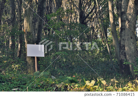 Image of selling forests and land Image of selling forests and land 71086415