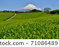 Fresh green tea fields and Mt. Fuji 71086489