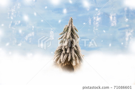 Winter Christmas background. Christmas festive background. Christmas composition, Christmas tree on a snowy winter background. Banner. Copy space Winter Christmas background. Christmas festive background. Christmas composition, Christmas tree on a snowy winter background. Banner. Copy space 71086601