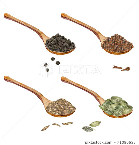 Watercolor set os spoons with spices 71086655