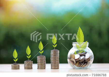Business investment and saving growth for advertising concept. Plant grow on stack coin glass bottle Business investment and saving growth for advertising concept. Plant grow on stack coin glass bottle 71086788