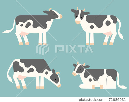 Deformed illustration set of cow 71086981