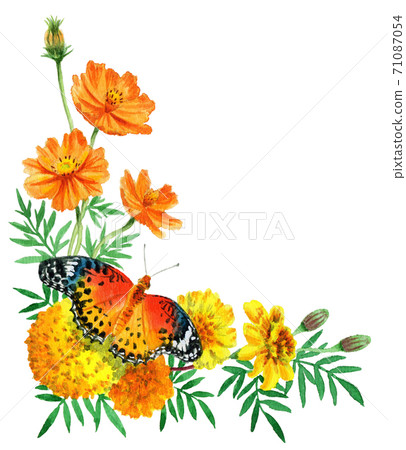 Watercolor autumn flower and butterfly corner frame 71087054