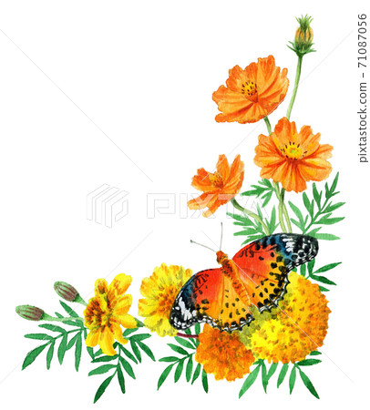 水彩秋花和蝴蝶角架 水彩秋花和蝴蝶角架 71087056