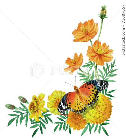 Watercolor autumn flower and butterfly corner frame 71087057
