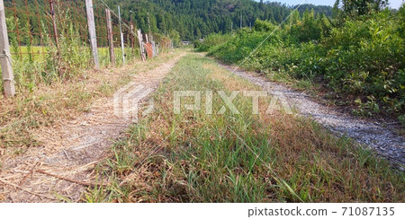 Straight ridge road Straight ridge road 71087135