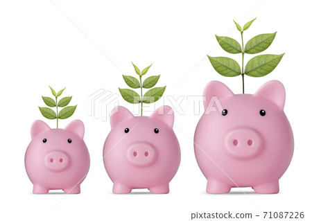 Business investment and saving growth plant growing on piggy bank on isolated and white background Business investment and saving growth plant growing on piggy bank on isolated and white background 71087226