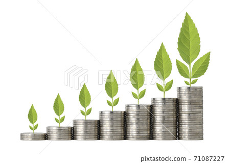 Business investment and saving growth plant growing on stacking coin on isolated 71087227
