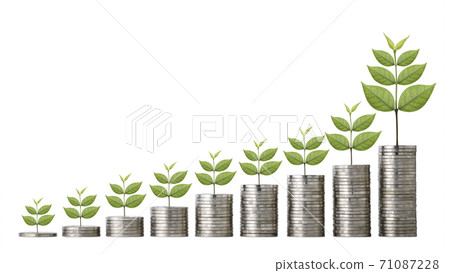 Business investment and saving growth plant growing on stacking coin on isolated Business investment and saving growth plant growing on stacking coin on isolated 71087228